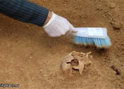 Древние находки археологов