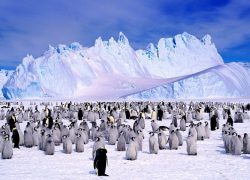 Почему на Южном полюсе нет времени?