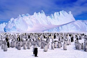Почему на Южном полюсе нет времени?